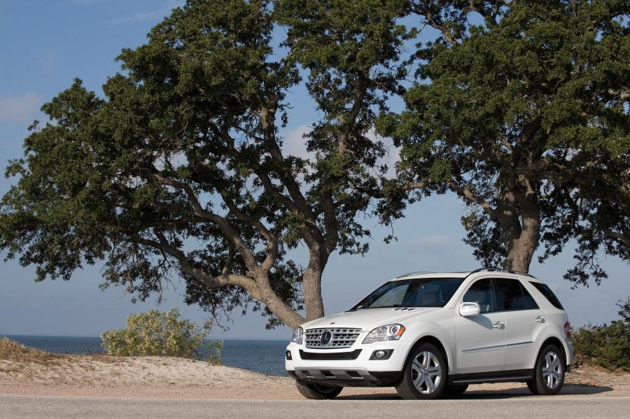  Mercedes-Benz ML320 BlueTEC 2009 года  (фото 10 из 21)